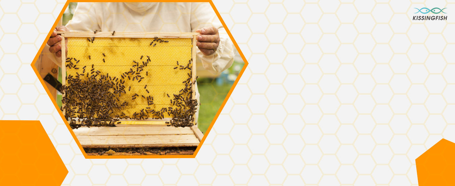 Natural Beeswax Candles Tapers Handrolled Bees Wax Candles for Home Decor