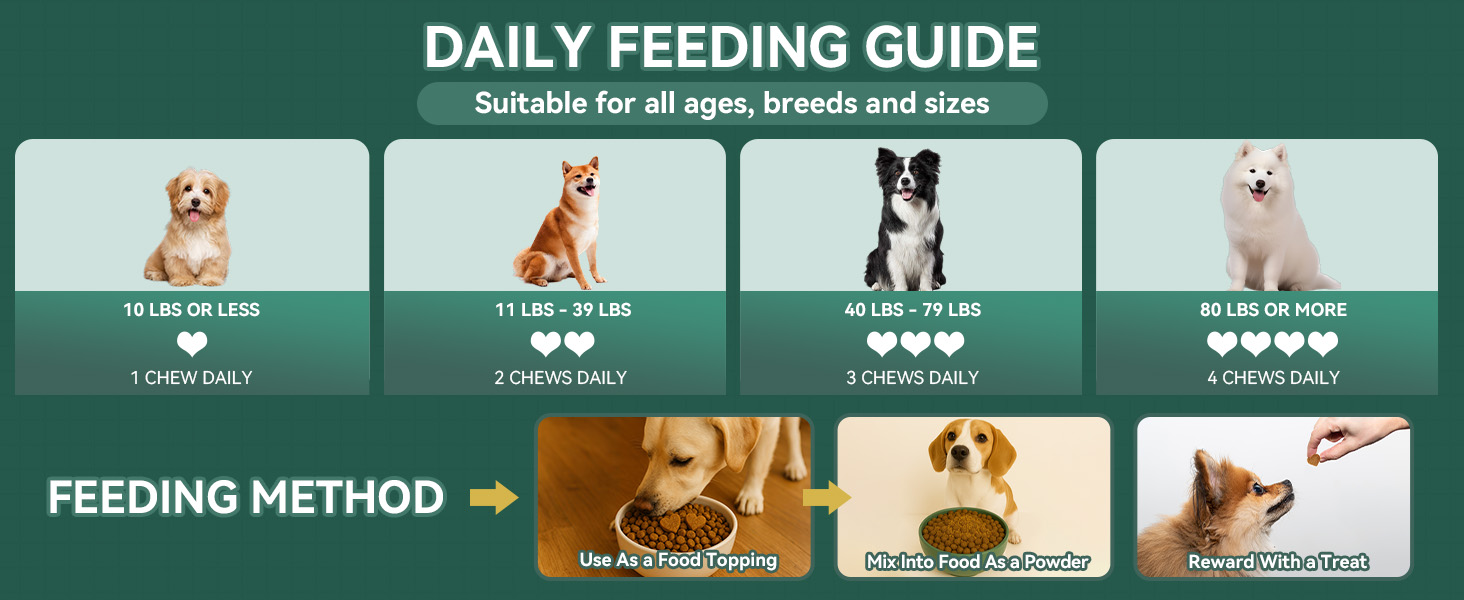 dog flea and tick treatment chewable