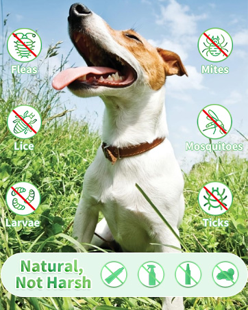 flea and tick prevention for dogs