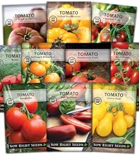 TOMATO　おまとめ商品 Buy Organic Tomato Rainbow Cherry Seed Online | McKenzie Seeds