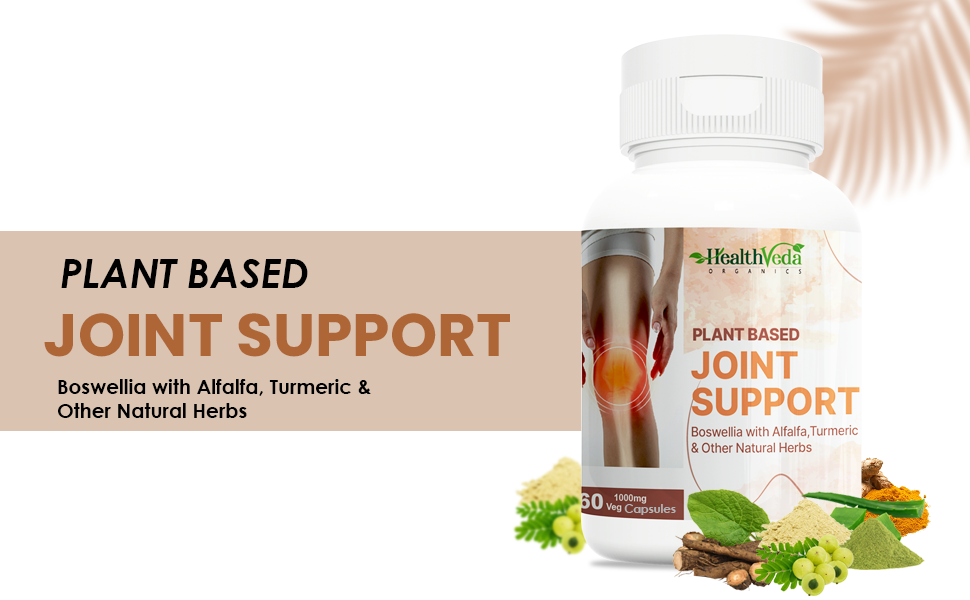 Joint support
