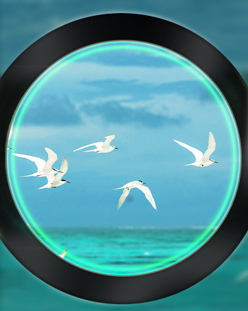 High Powered Large Eyepiece Waterproof Compact Binoculars