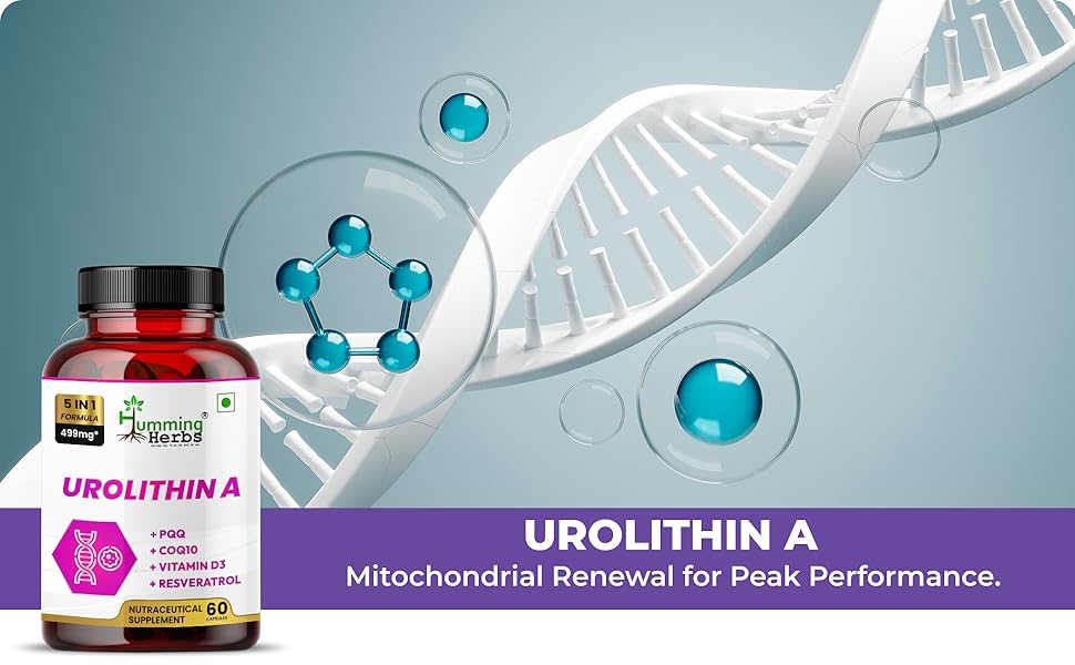 humming herbs urolithin a supplement acoq10 pqq resveratrol supports cellular energy healthy aging