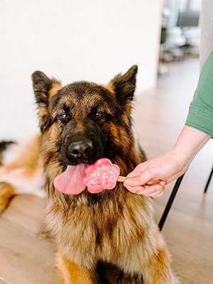 Ghiaccio per cani