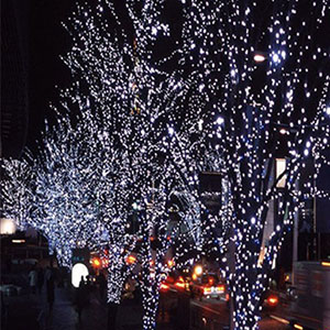 fairy string lights