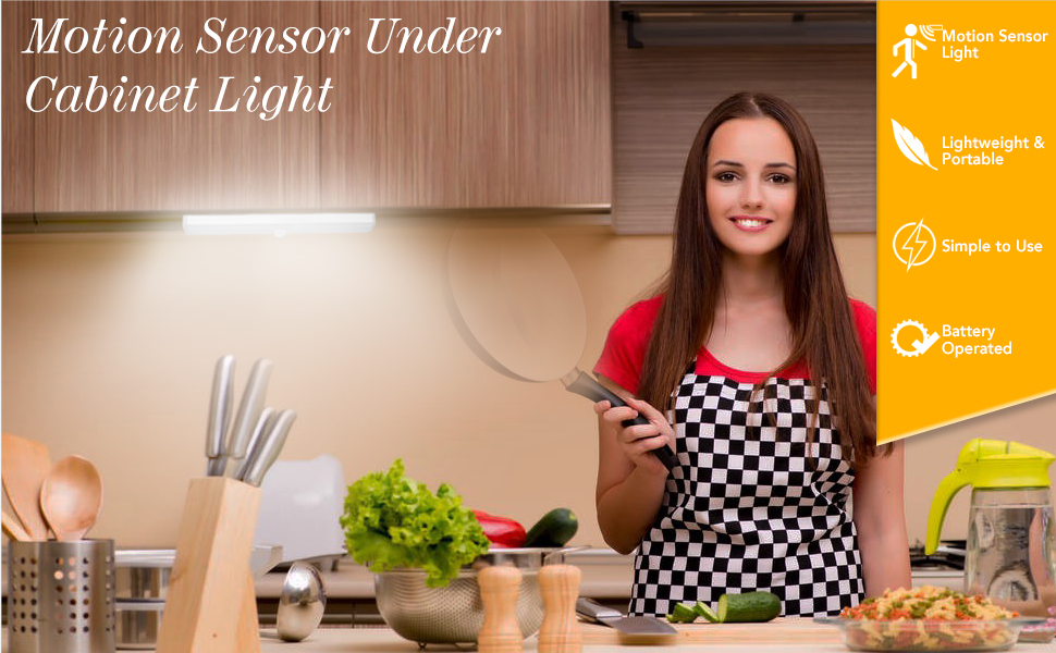 motion sensor light