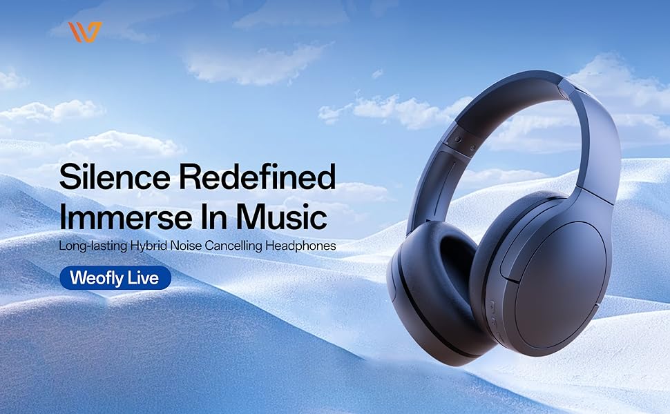 Hybrid Active Noise Cancelling Headphones