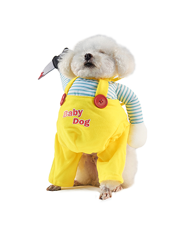 Dog Costume