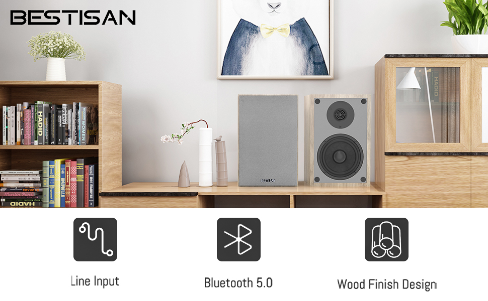 BESTISAN Bookshelf Bluetooth Speakers, Powered 2.0 Stereo