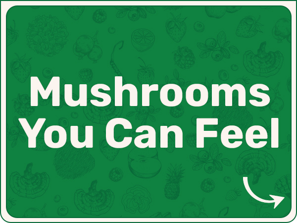 phosphatidylserine amino moringa spores vegan chill shiitake fresh microingredients alternative