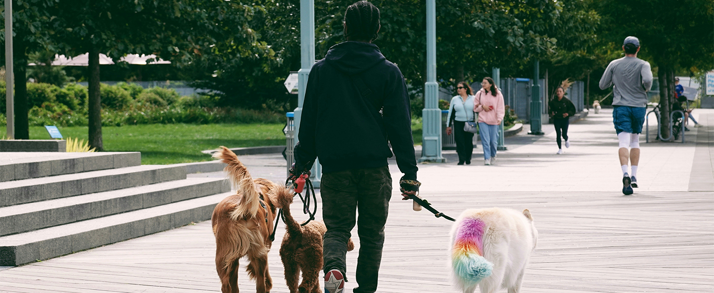 walking  dog