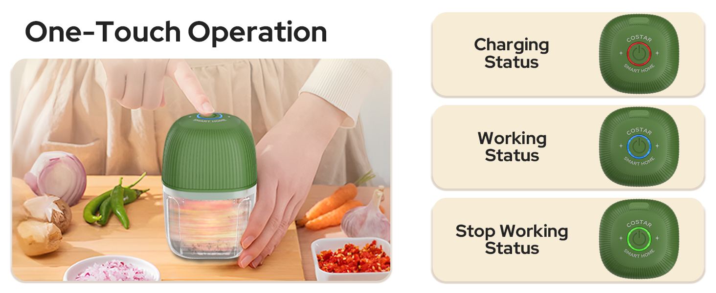 COSTAR Mini Electric Chopper