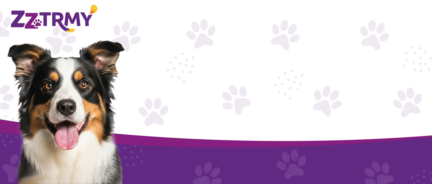 sleeping dogs dog sedative dog tranquilizer calming drops for dogs