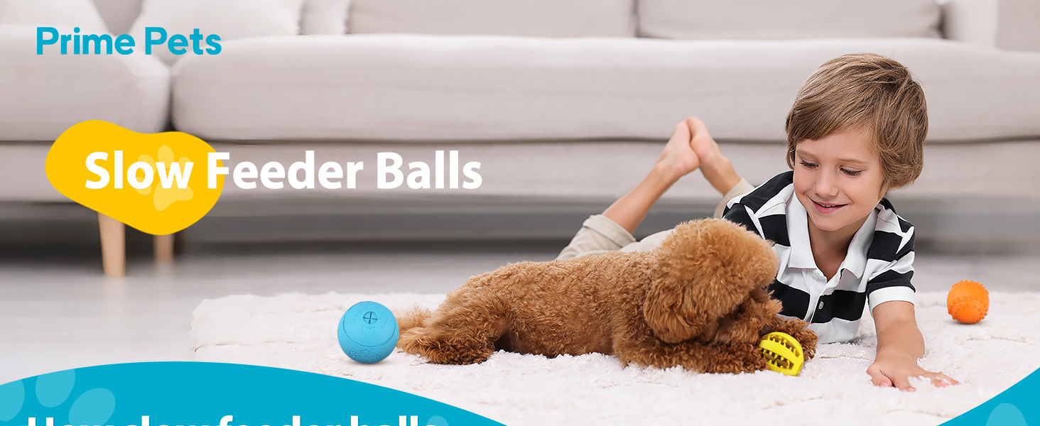 treat ball