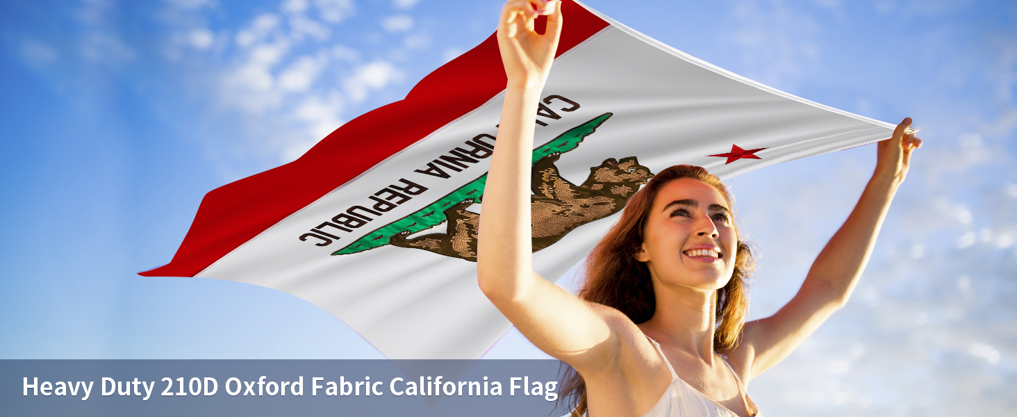 California Flag