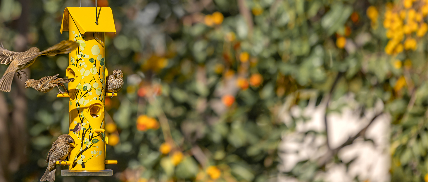 Kingsyard Bird Feeder House for Outside, Metal Mesh Wild Bird Feeder