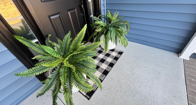 fake ferns
