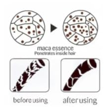 Repair power maca essence