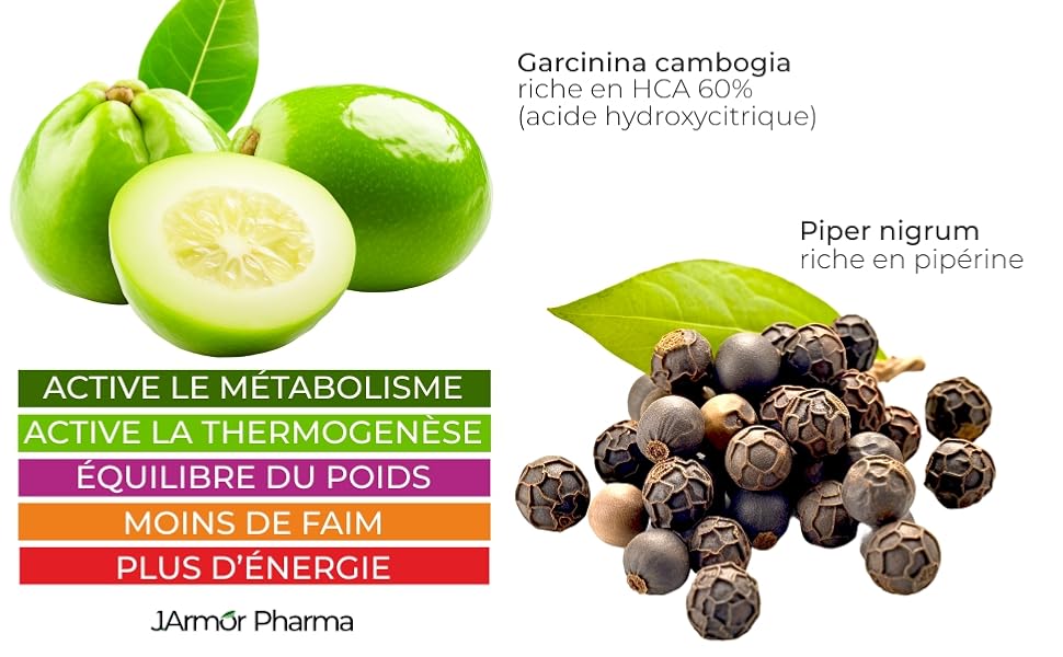 abdomen thermogenics