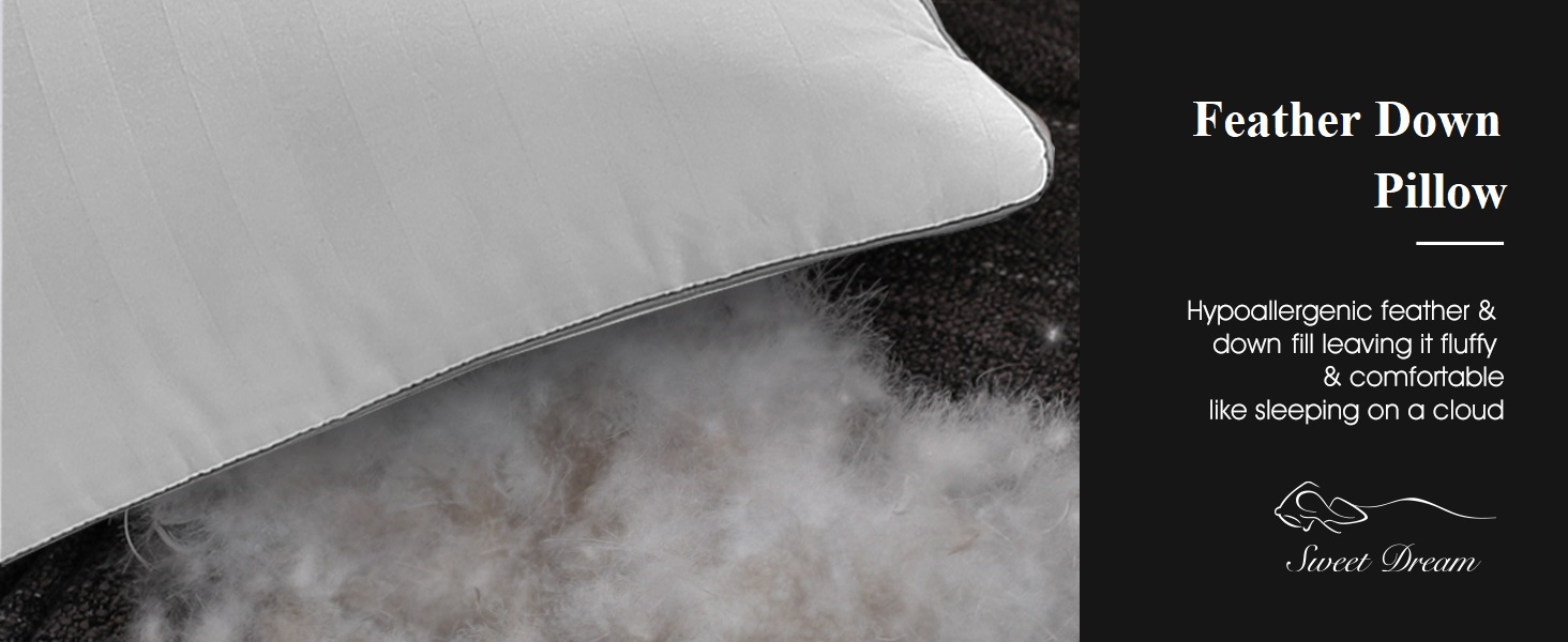 Hotel Pillows