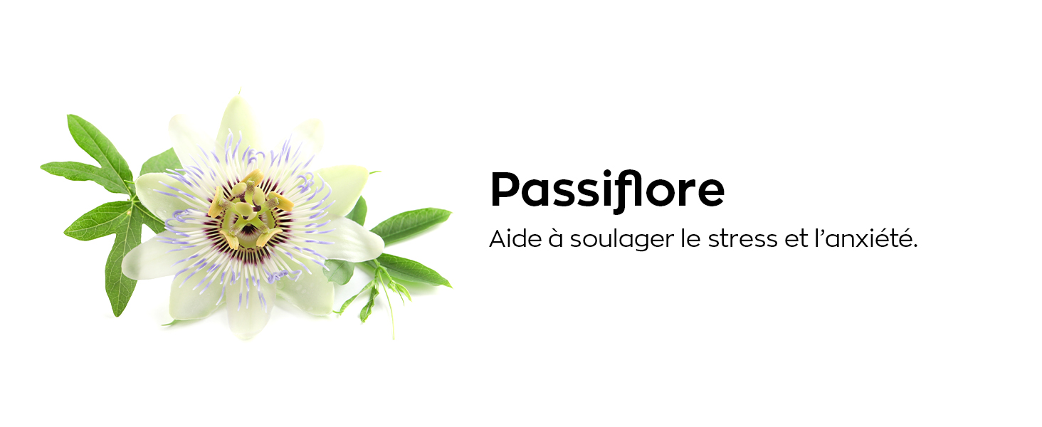 Passiflore