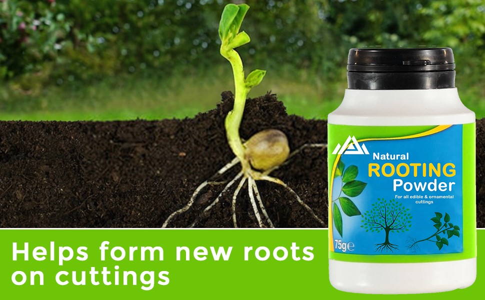 Large manufacture image 1