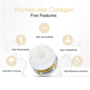 Collagen Gesichtscreme