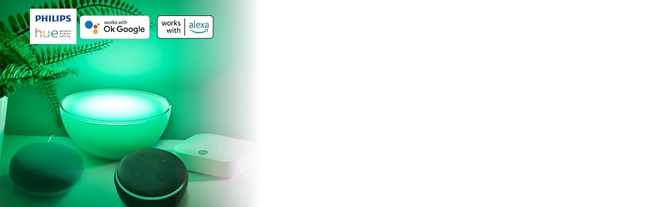 banner 2