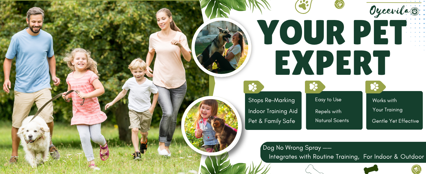 best anti pee spray for dogs