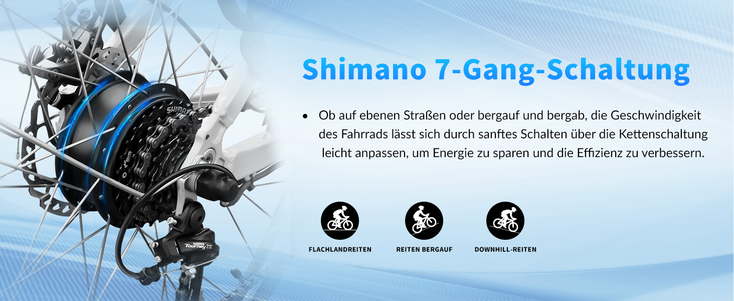 ebike