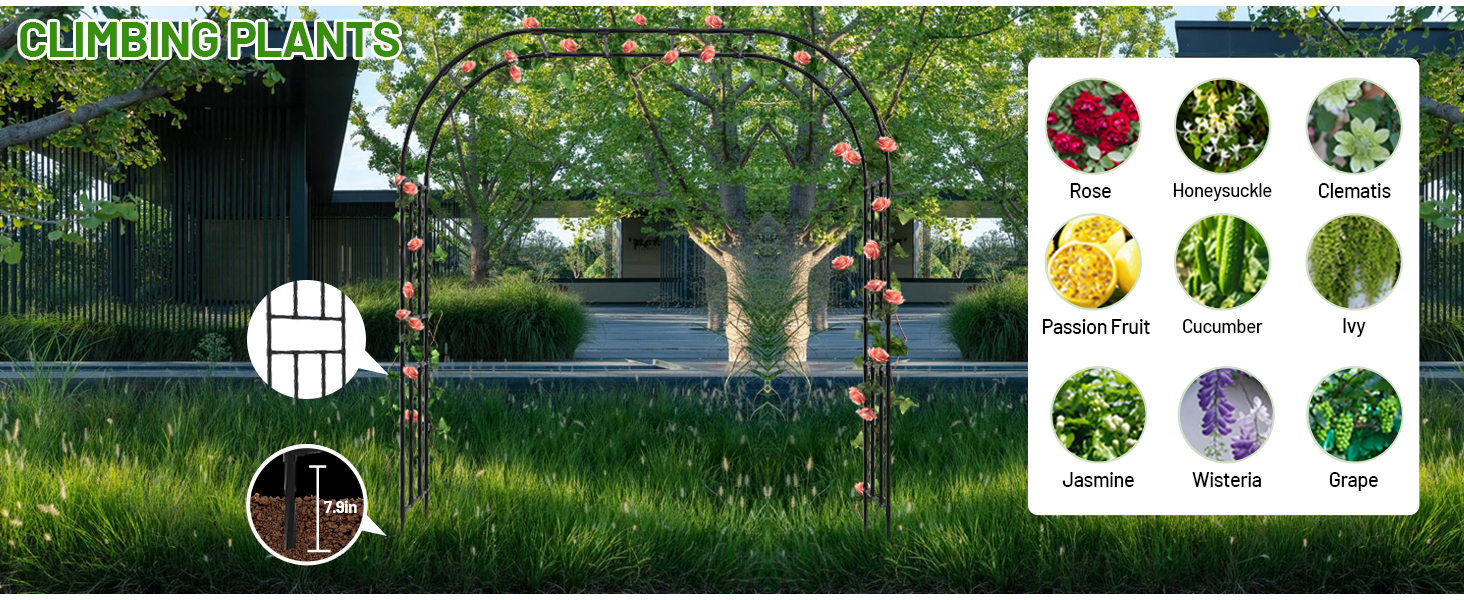 arch arbor trellis
