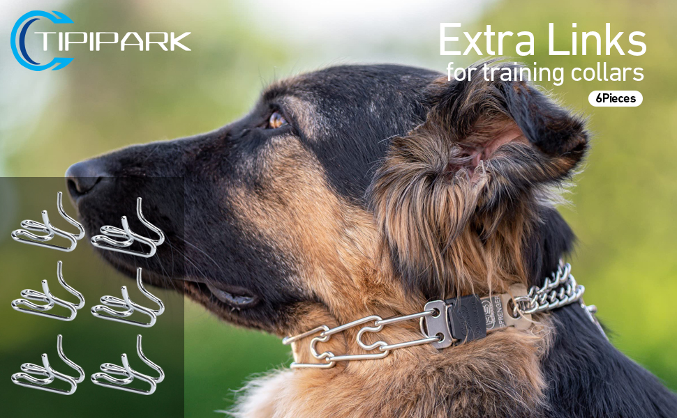 6 Pack Extra Links Prong Collar for Dog Replacement 2.5mm