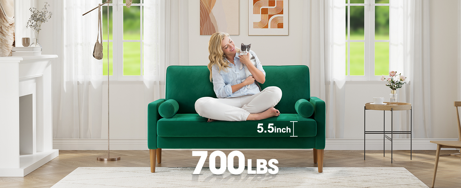sturdy sofa-small loveseat