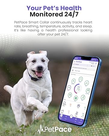 ADVANCED HEALTH MONITORING FOR PROACTIVE CARE: Tracks heart rate, sleep, activity, temperature pulse