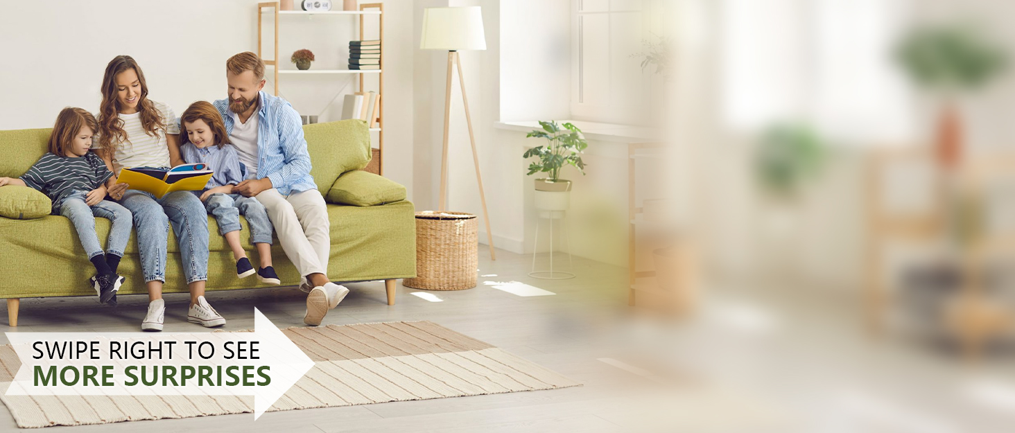 Asnefeli Home furniture