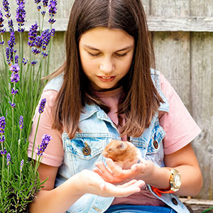 Small manufacture image 3