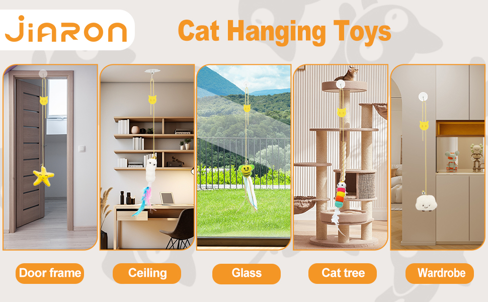 cat teaser