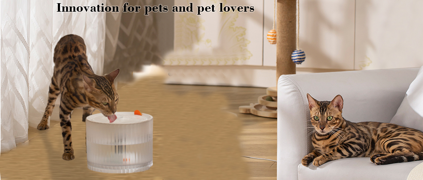 Cat water fountain