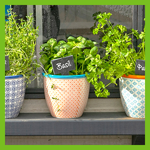 hand-printed plant pot 