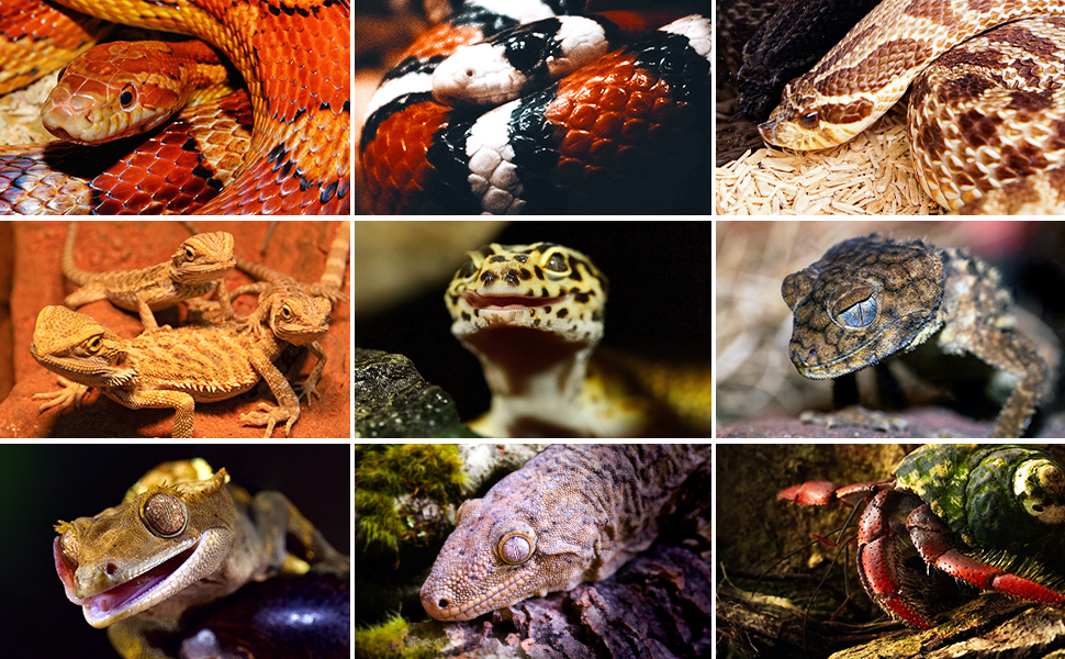 Large manufacture image 5