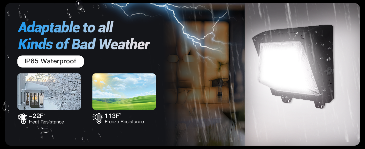 JTT LED Wall Pack Light