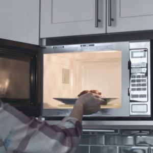 microwave light bulbs under hood