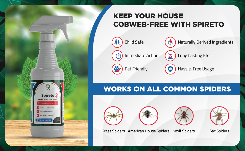 RAPIDTUFF Peppermint Oil Spider Repellent Safe for Pets, Kids and Family
