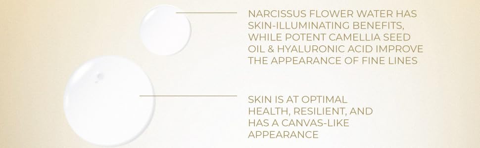 FEMMUE ILLUMIOUS VELVET HYDRATING FACE SERUM MOISTURIZER