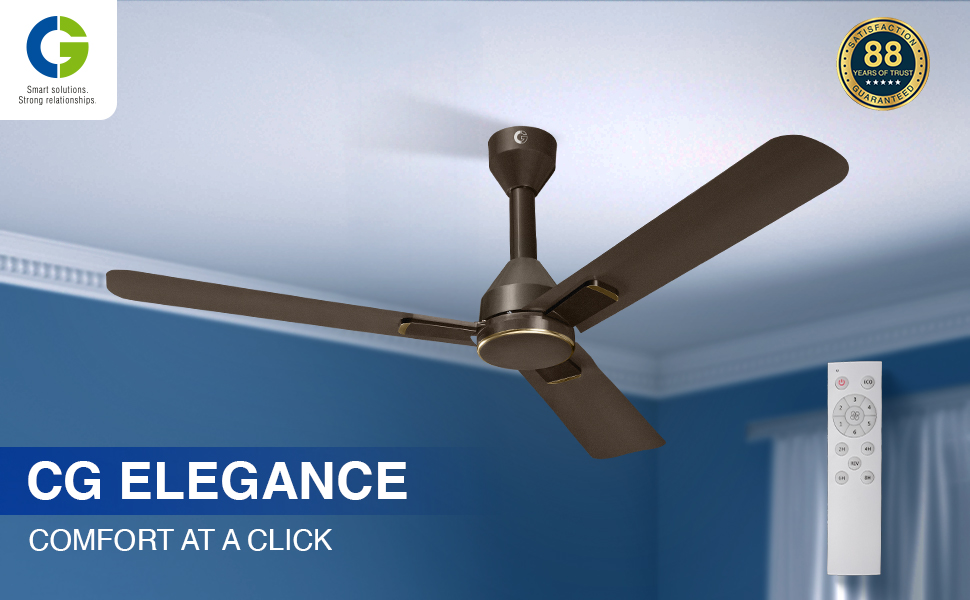 Ceiling fan