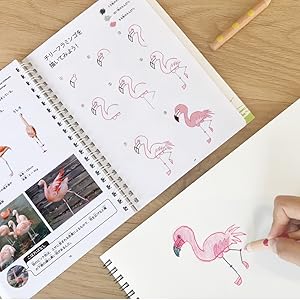 Amazon.co.jp: おえかきずかん (WORK×CREATEシリーズ) : (公財