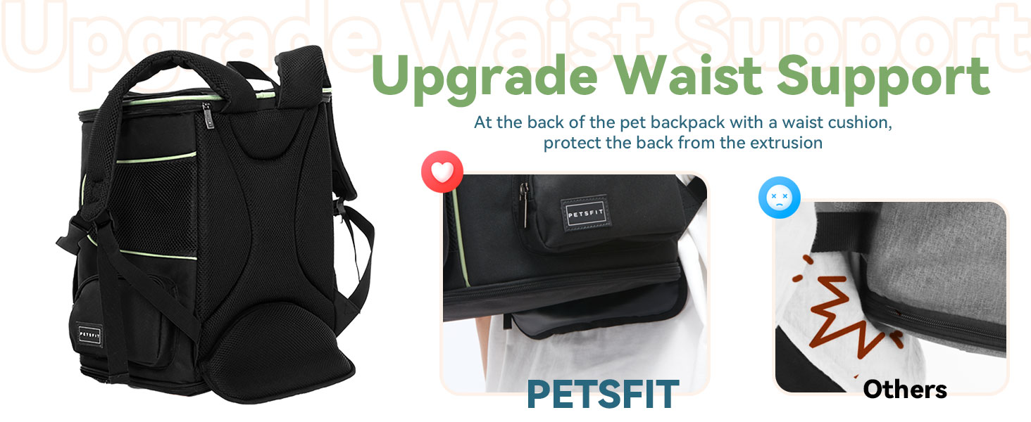 cat backpack carrier