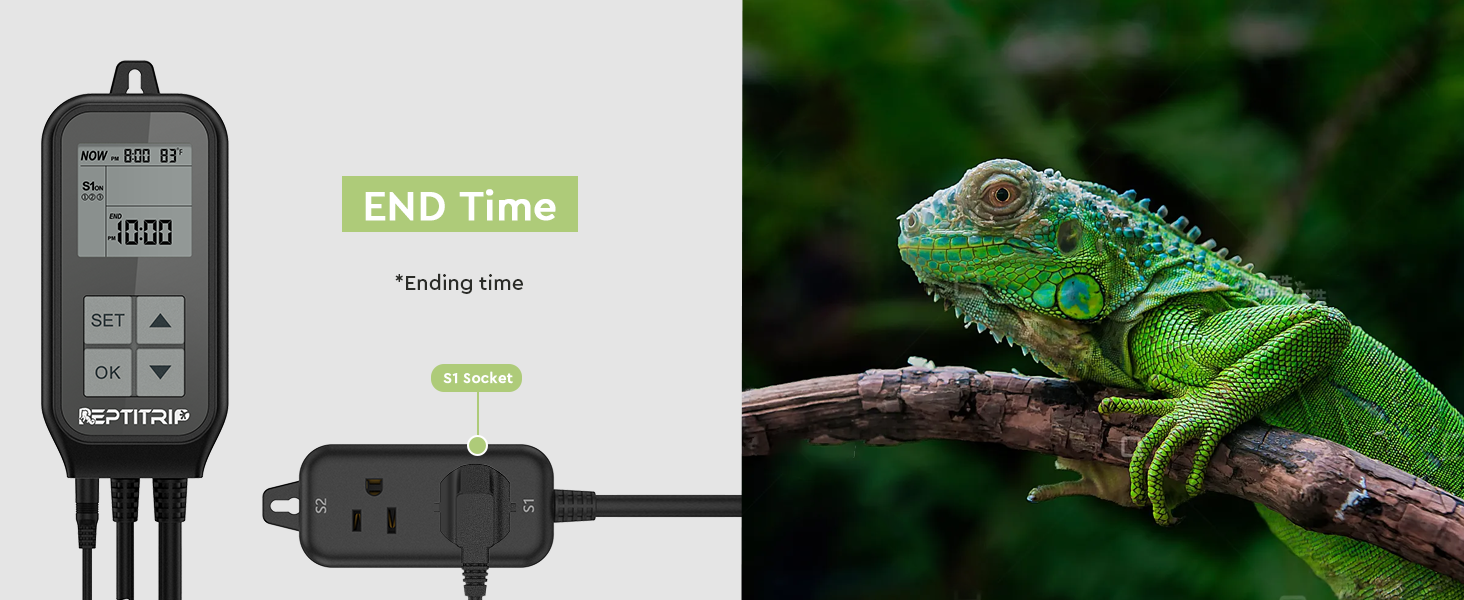 REPTITRIP Reptile Thermostat, Reptile Light Timer for