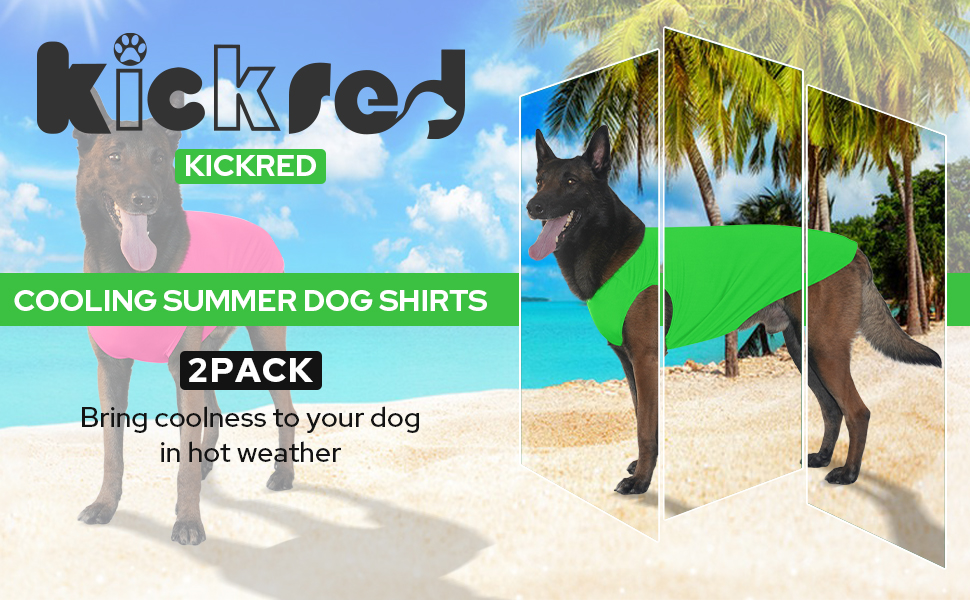 dog shirt for large dogs