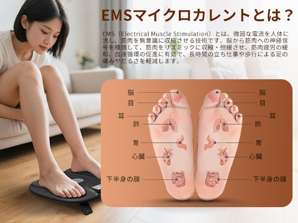 Amazon.co.jp: 『筋力トレーニング・むくみ解消』Monons